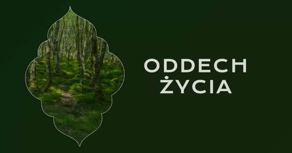 Jak oddychać podczas medytacji, aby zwiększyć relaks i koncentrację