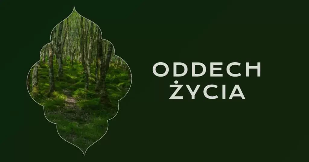 Jak oddychać podczas medytacji, aby zwiększyć relaks i koncentrację